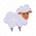 lamb, sheep, animal, livestock, ovis aries
