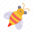 bumblebee, honeybee, bee, insect, creature