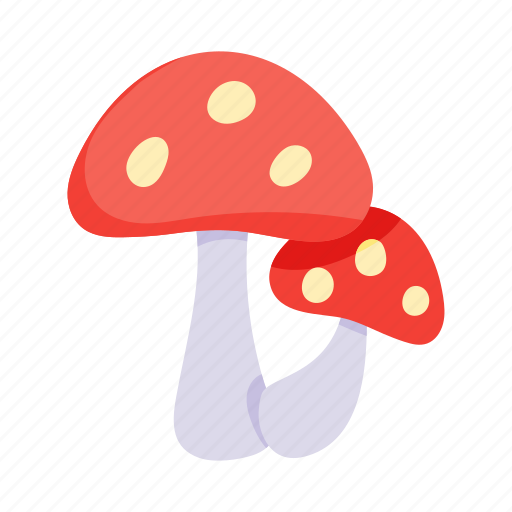 Toadstools, mushrooms, fungus, fungi, food icon - Download on Iconfinder