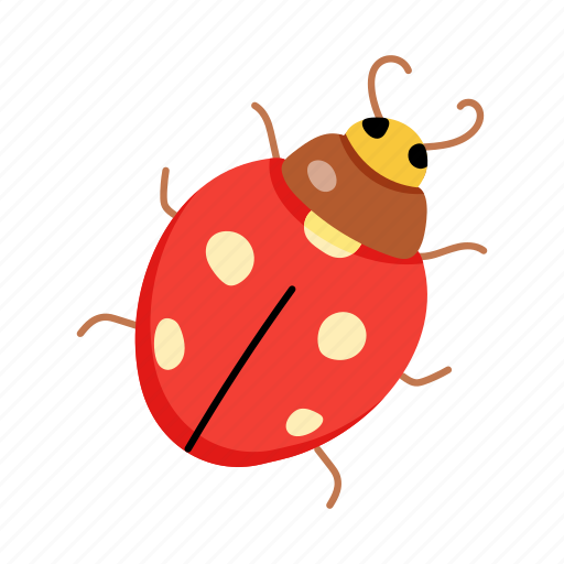 Lady beetle, ladybug, bug, insect, coccinellidae icon - Download on Iconfinder