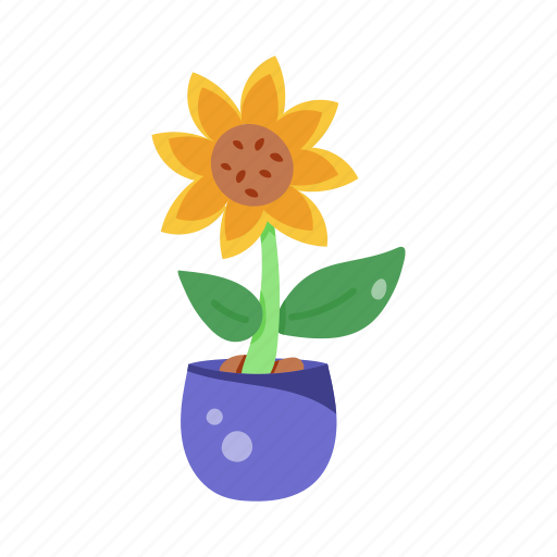 Helianthus, sunflower pot, houseplant, sunflower, floral icon - Download on Iconfinder
