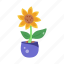helianthus, sunflower pot, houseplant, sunflower, floral 