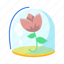glass dome, flower, floral, rosebud, glass cloche