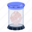 brain, preserved brain, brain jar, science experiment, organ 
