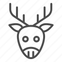 wildlife, wild, deer, reindeer, horn, head, ear, animal, forest