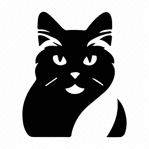 Cat, kitten, cute, feline, animal, pet, face icon - Download on Iconfinder