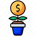 money growth, money, growth, investment, financial-growth, dollar, money-plant, currency, business