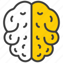 brain, mind, idea, intelligence, thinking, head, creative, human, creativity