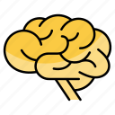 human brain, mind, brain, thought, user, human-mind, human, head, thinking