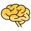 human brain, mind, brain, thought, user, human-mind, human, head, thinking 