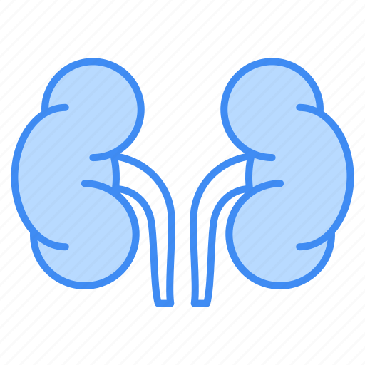 Adrenal glands, medical, health, medicine, organ, anatomy, adrenal icon - Download on Iconfinder