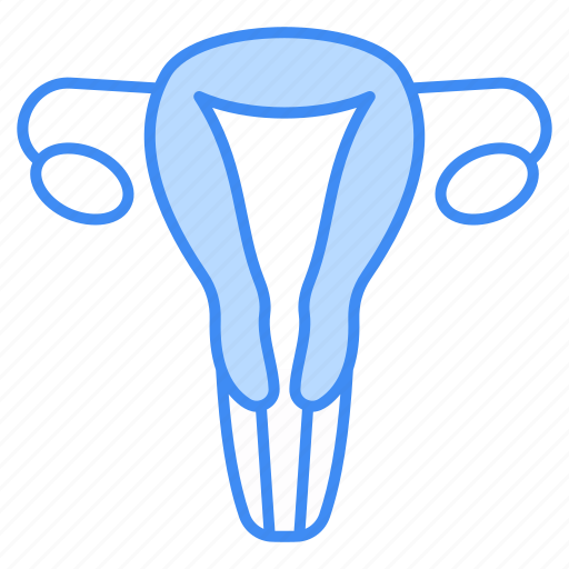 Uterus, medical, female, gynecology, ovary, pregnancy, woman icon - Download on Iconfinder
