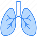 lungs, organ, medical, anatomy, virus, breath, healthcare, health, human