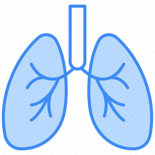 Lungs, organ, medical, anatomy, virus, breath, healthcare icon - Download on Iconfinder