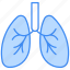 lungs, organ, medical, anatomy, virus, breath, healthcare, health, human 