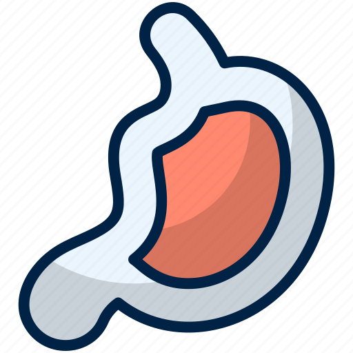 Stomach, health, organ, medical, body, belly, woman icon - Download on Iconfinder