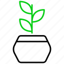 plant, nature, leaf, green, tree, flower, ecology, garden, agriculture