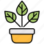 croton, plant, pot, indoor-plant, indoor-pot, croton-plant, nature, garden, botanical 