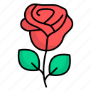red, rose, red rose, flower, green, background, valentines-day, nature, love