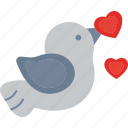love bird, love, bird, heart, valentine, romantic, couple, dove, romance, fly