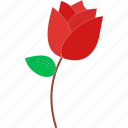 rose flower, flower, rose, nature, plant, garden, agriculture, valentines day, valentine, romantic