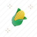 corn, plantation, staple, food, autumn, rustic, theme, season