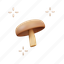 mushroom, food, autumn, rustic, theme, season 