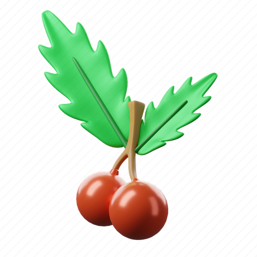 Mistletoe, plant, xmas, decoration, ornament, celebration 3D illustration - Download on Iconfinder