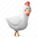 chicken, animal, egg, hen 