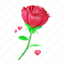 rose, flower, red rose, love, blossom, floral