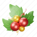 mistletoe, chirstmas, holly, decoration, plant, christmas, winter, ornament