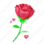 rose, flower, red rose, love, blossom, floral 