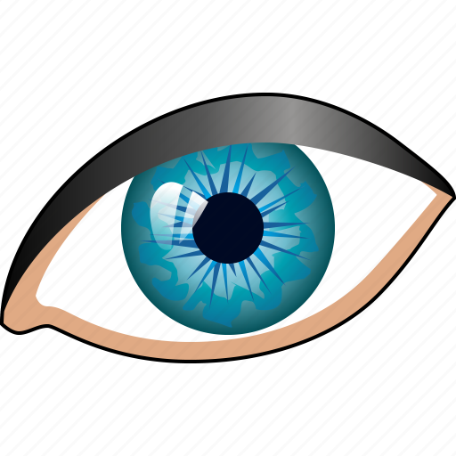 Eye, view, watch, eyeball, look, see, vision icon - Download on Iconfinder