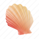 seashell, shell, animal, clam, ocean, sea 