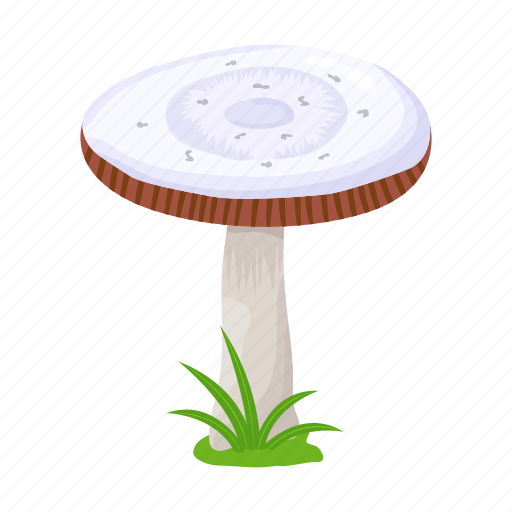 Toadstool, mushroom, fungi, oyster mushroom, food icon - Download on Iconfinder