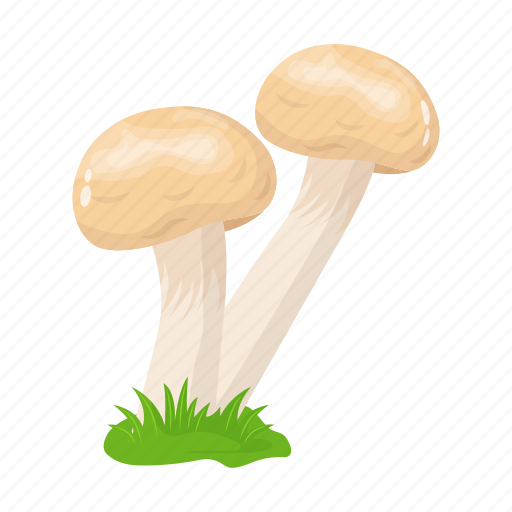 Toadstool, mushroom, fungi, oyster mushroom, food icon - Download on Iconfinder