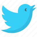 tweet, social media, network, bird icon
