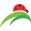 bug, insect, ladybug, leaf, logo 
