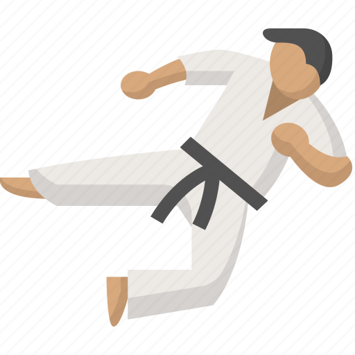 Karate, arts, fight, judo, martial, ninja, taekwondo icon - Download on Iconfinder