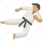 karate, arts, fight, judo, martial, ninja, taekwondo 