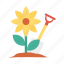 activity, gardening, plant, sunflower 