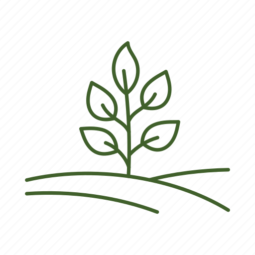 Sprouts, agricultural, seedling, field, growing, young, crops icon - Download on Iconfinder