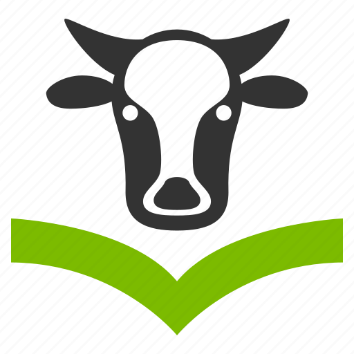 Bull, cattle, cow, education, knowledge, livestock, study icon - Download on Iconfinder