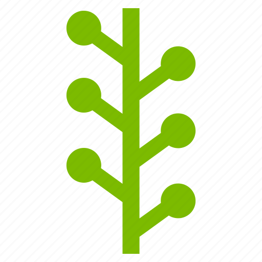 Ecology, flora, floral, natural, nature, plant, spring icon - Download on Iconfinder