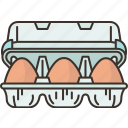 egg, carton, grocery, fresh, product 