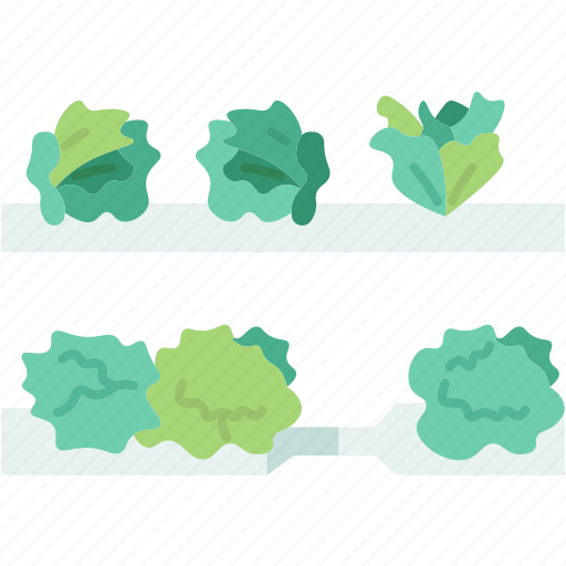 Hydroponic, gardening, lettuce, vegetable, growing icon - Download on Iconfinder
