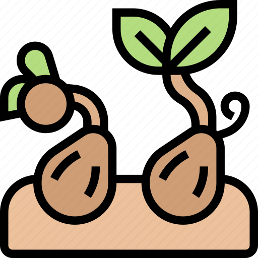 Seeds, sprout, grow, garden, nature icon - Download on Iconfinder