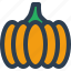 pumpkin, fruit, food, agriculture 