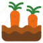 carrot, plant, vegetable, agriculture, farming 
