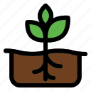 planting, roots, growth, agronomy, plant